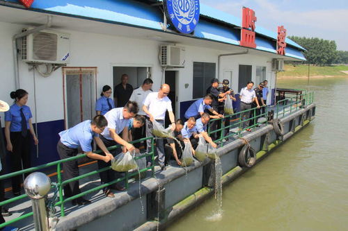 湖北省檢察機關 十年禁捕護航長江生態，固體廢物治理助力大保護